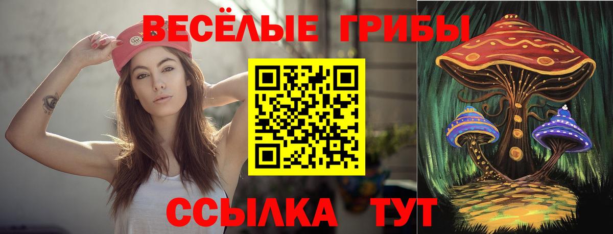 Озёры  Галлюциногенные грибы GOLDEN TEACHER  Вход с VPN  Псилоцибиновые грибы Cubensis 